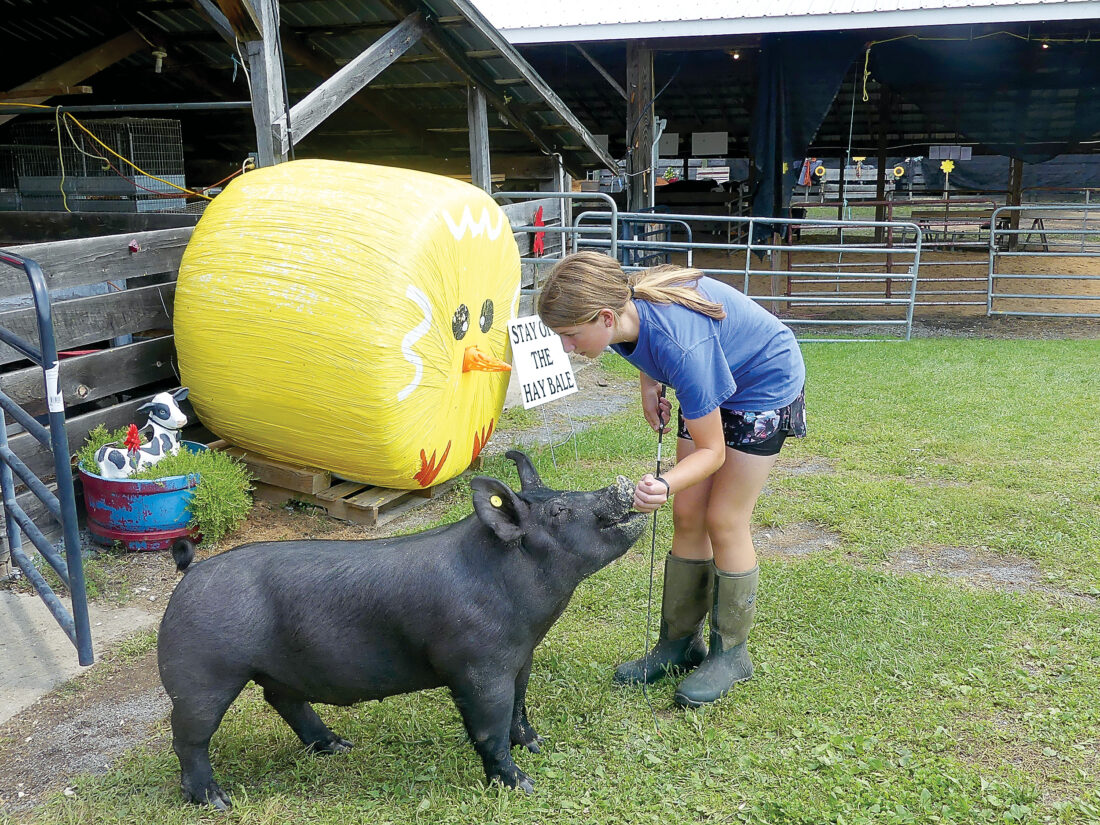 Williamsburg Community Farm Show in full swing News, Sports, Jobs
